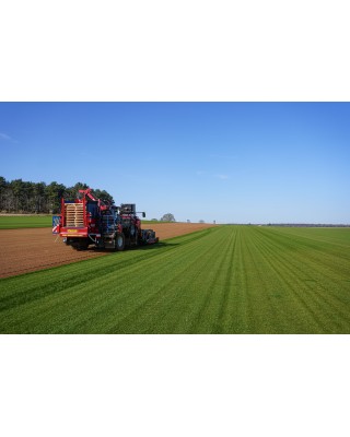 Premium Cultivated Turf (per m2 roll)