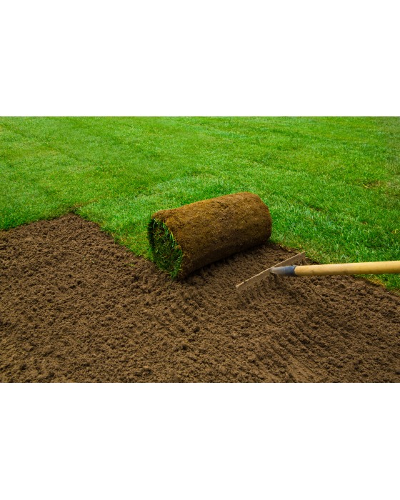 Premium Cultivated Turf (per m2 roll)