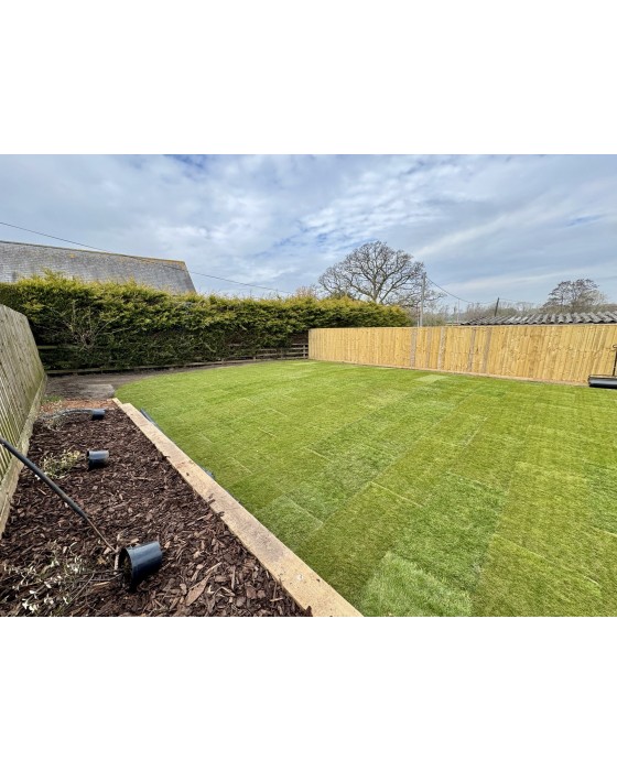 Premium Cultivated Turf (per m2 roll)