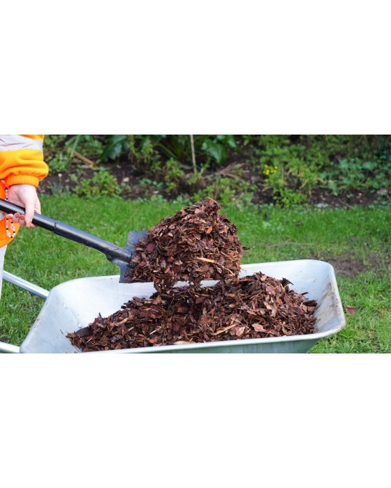 5 Standard Pine Play Grade Bark Bulk Bag Bundle