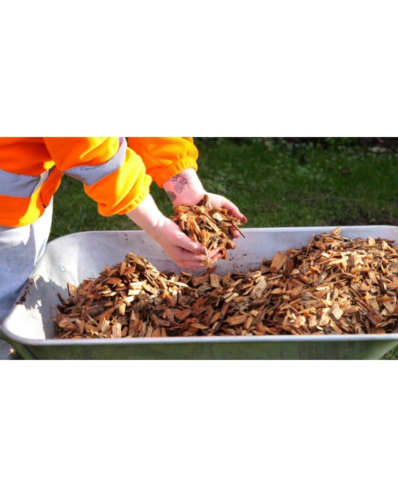 Softwood Play Grade Chips Small