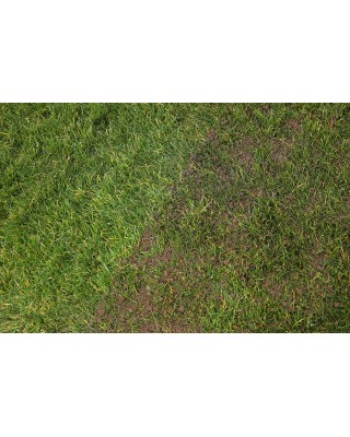 Fine Loam Topsoil Standard