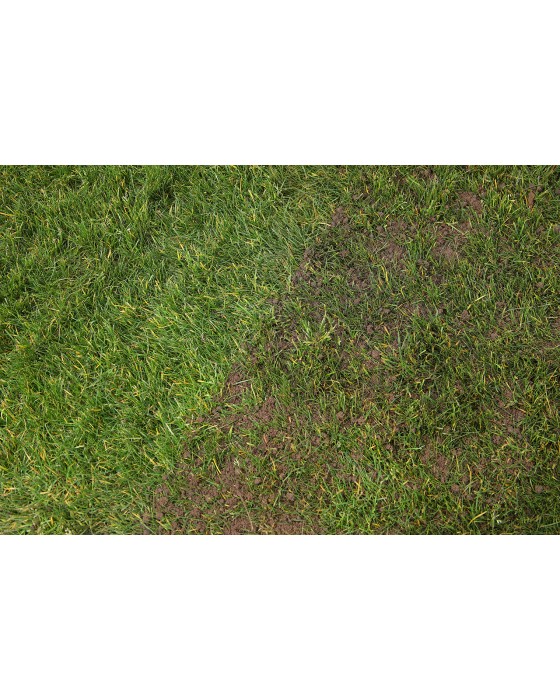 Fine Loam Topsoil Standard