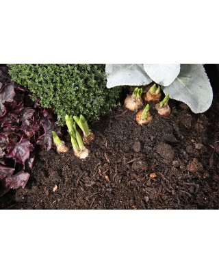 Spent Mushroom Compost Small 