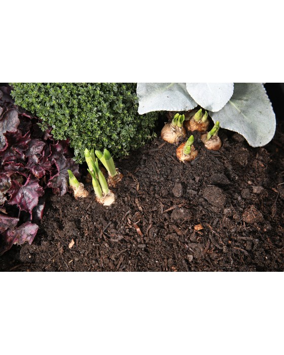 Spent Mushroom Compost Small 