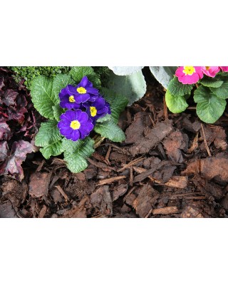 Ornamental Bark Mulch Standard