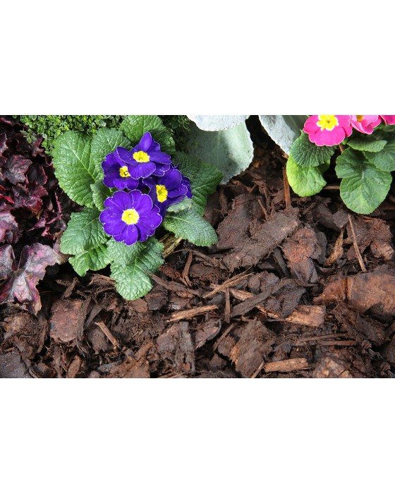 Ornamental Bark Mulch Standard