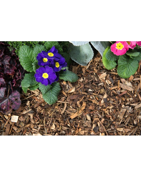Woodland Mulch Small