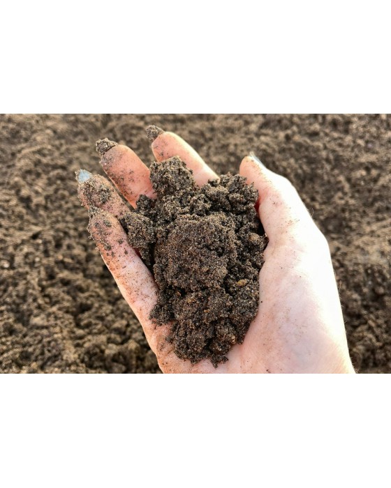 Multi Purpose Topsoil Small - Double Screened