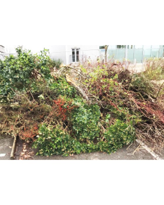 Grab Green Waste Away 