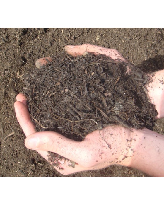 Tree and Shrub Compost Standard